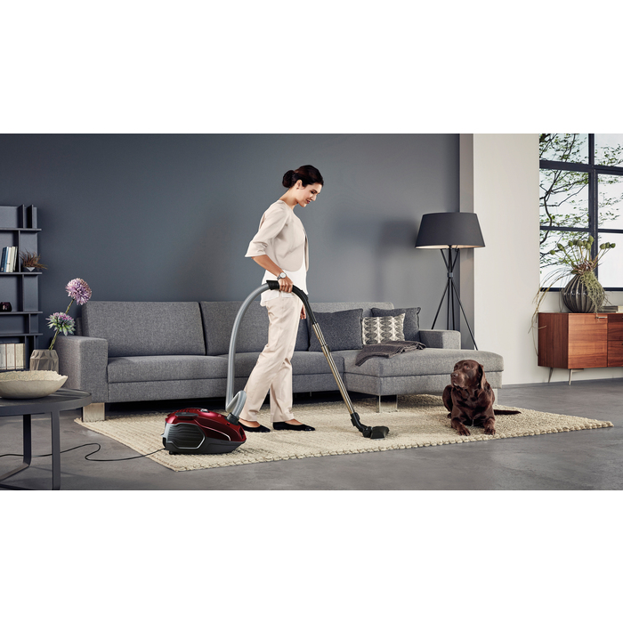 AEG VX6-2-CR 3.5 L Cylinder vacuum Dry 800 W Dust bag – image 2