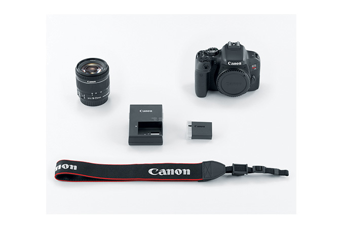 Canon EOS Rebel T7i + EF-S 18-55 IS STM – image 9