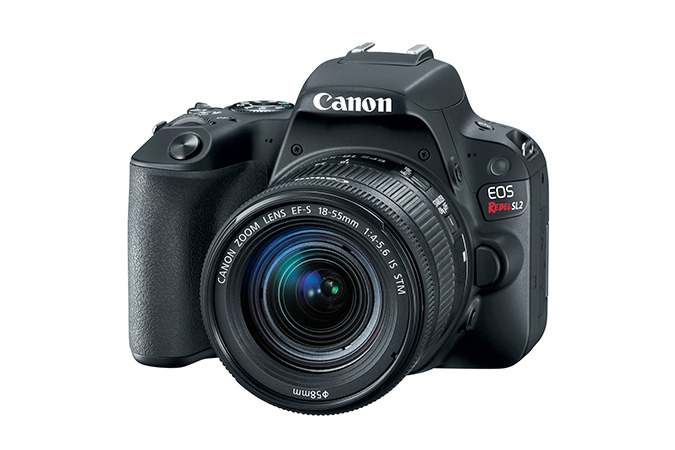 Canon Rebel SL2 + EF-S 18-55mm f/4-5.6 – image 2
