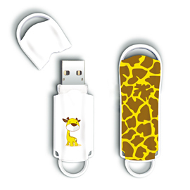Integral INFD4GBXPRGIRAFFE – image 1