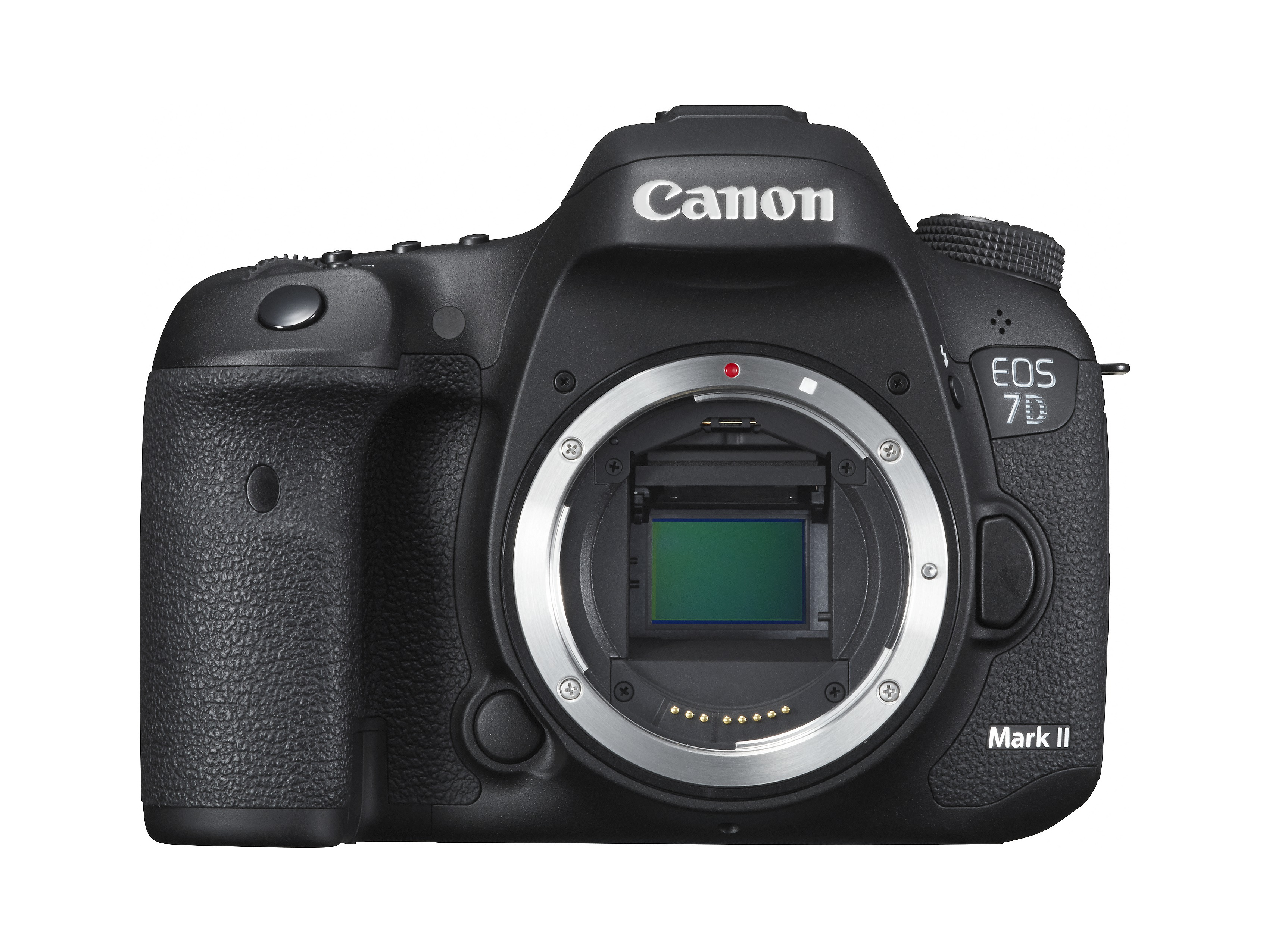 Canon EOS 7D Mark II – image 2