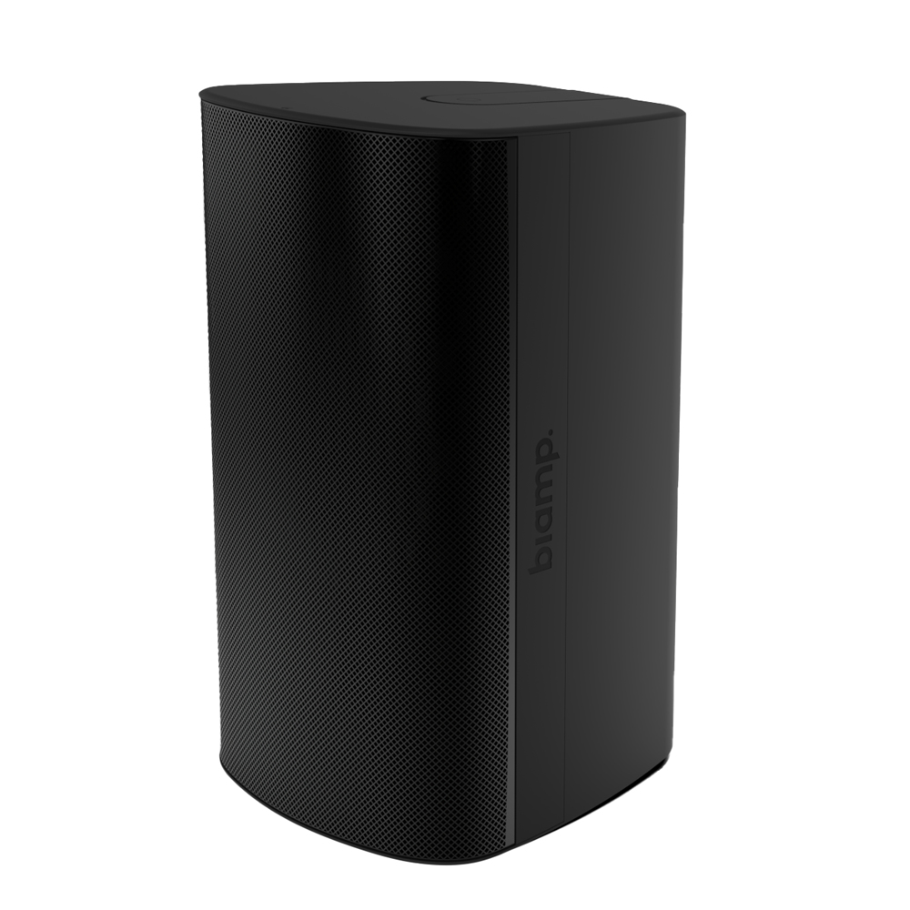 Biamp Desono EX-S10SUB High Output 10-inch Surface Mount Subwoofer U-Bracket Black