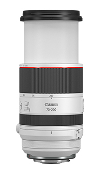 Canon RF 70-200mm f2.8 L IS USM – image 3