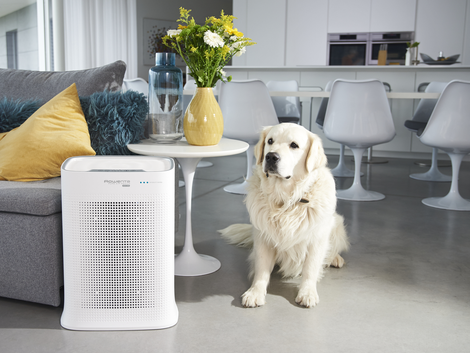 Rowenta Pure Air PU3080 140 m² – image 3