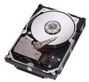 Seagate Cheetah 10K.7 300 GB Fibre Channel 20pk