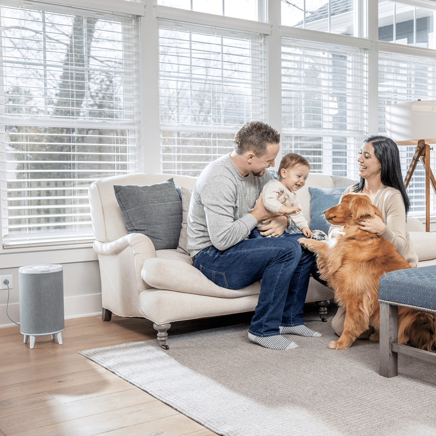 Bissell 3172D air purifier 40.4 m² – image 2