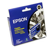 Epson T0491 ink cartridge Original Black