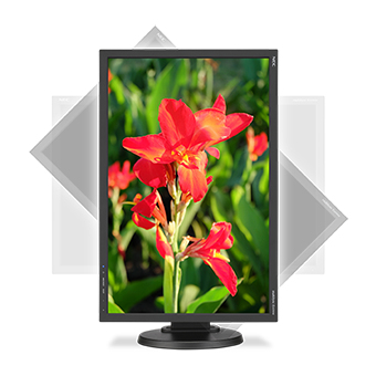 NEC MultiSync E245WMI-BK computer monitor – image 3