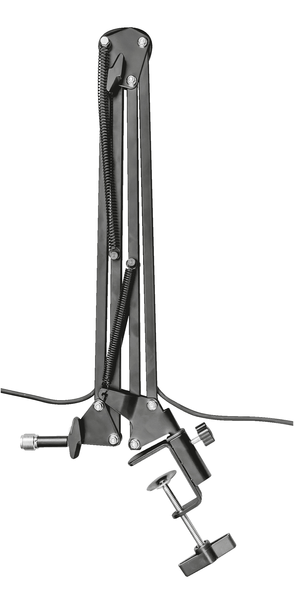 Product Gallery