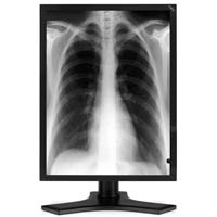NEC MD213MG computer monitor