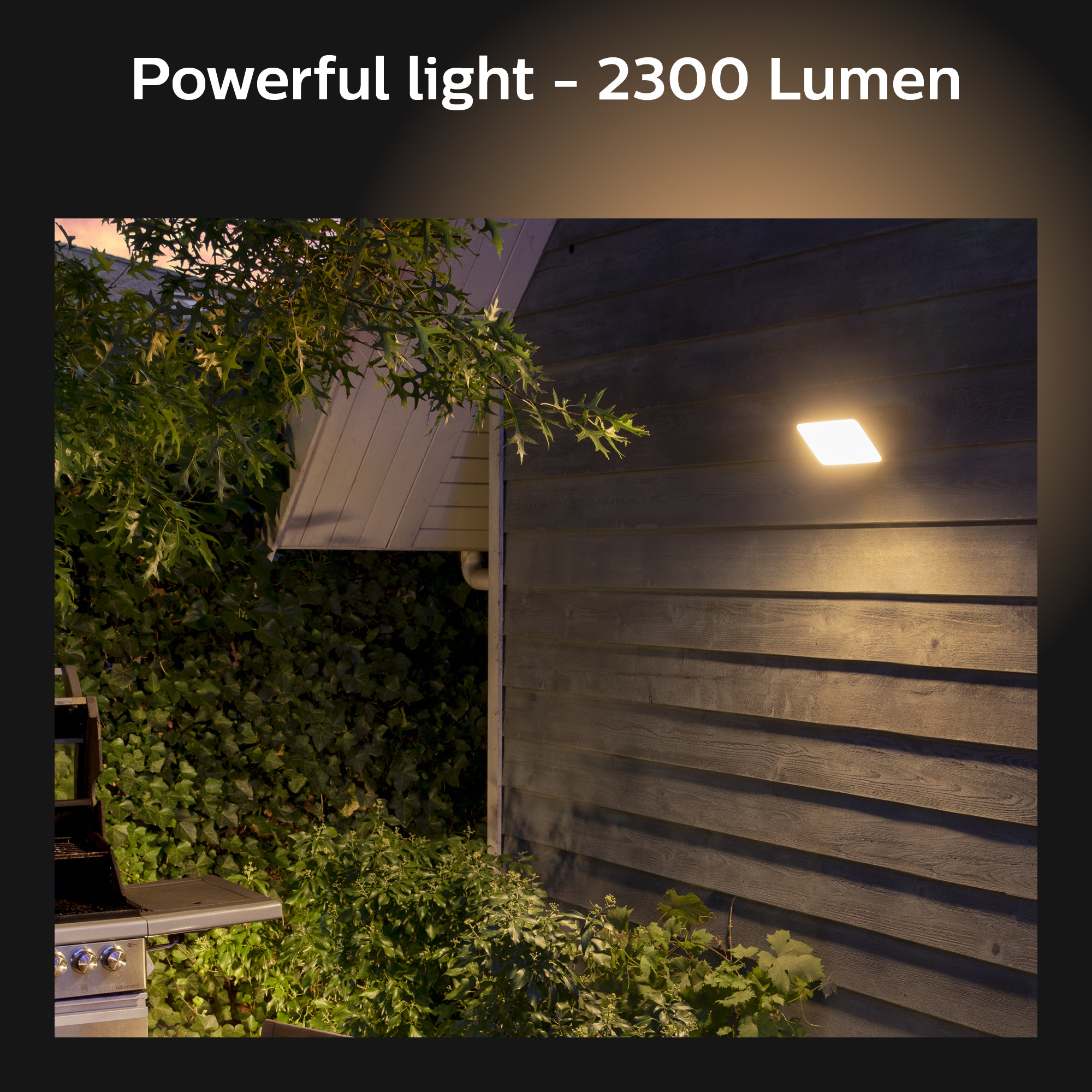 Philips by Signify Philips Hue White Welcome Outdoor Floodlight – image 5