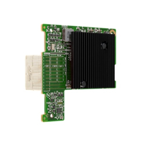 Dell 406-10740 interface cards/adapter Internal Fiber