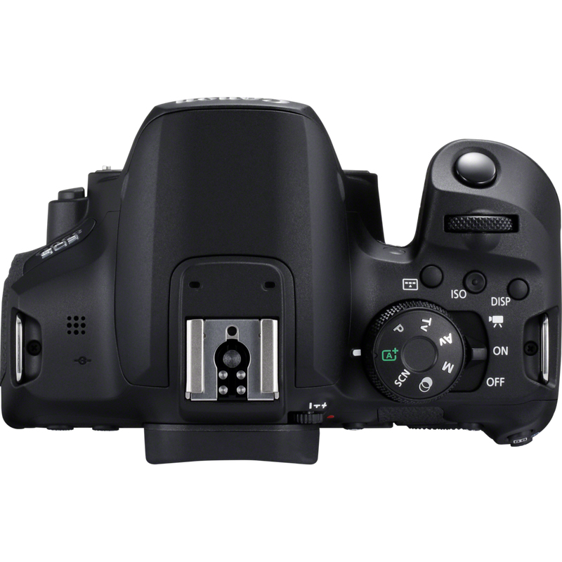 Canon 850D + EF-S 18-135mm f/3.5-5.6 IS USM – image 4