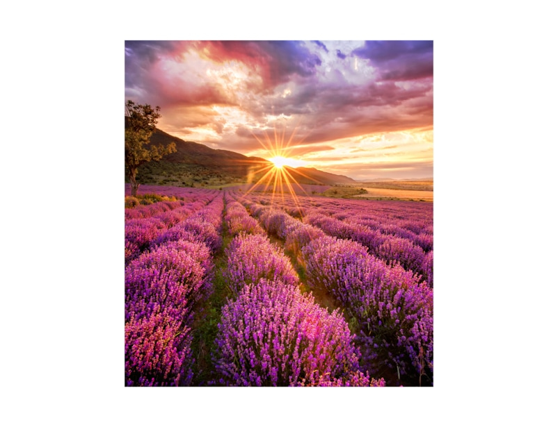 https://images.icecat.biz/img/gallery/53519611_1427741428.jpg