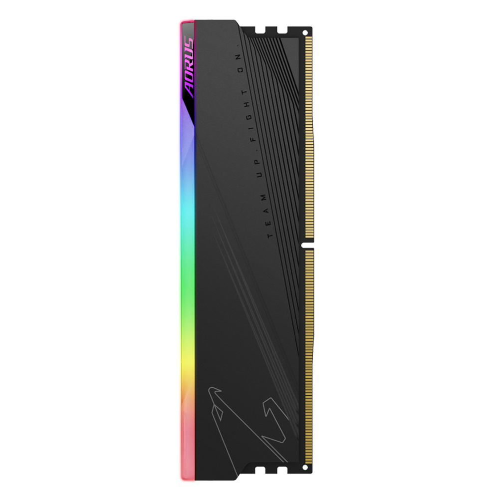 GIGABYTE ARS32G60D5R memory module – image 2