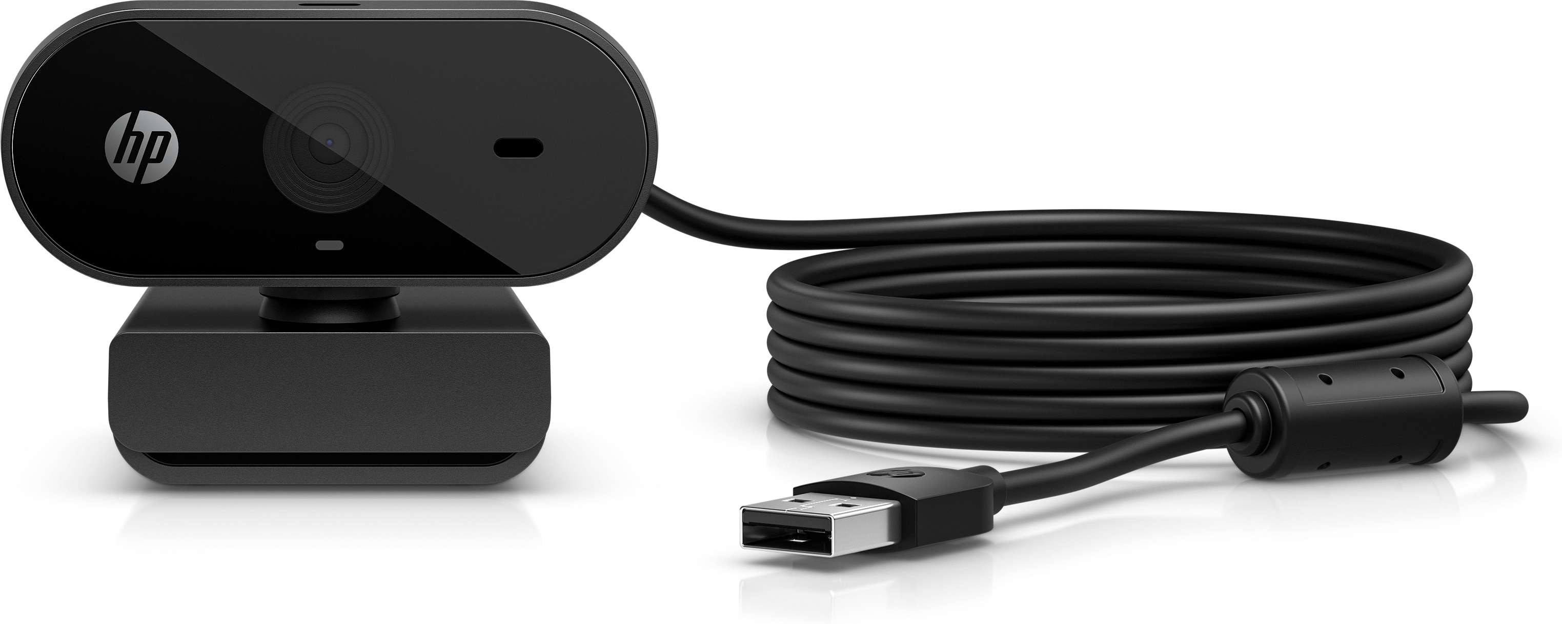 Webcam - pan - colour - 1920 x 1080 - audio - USB 2.0