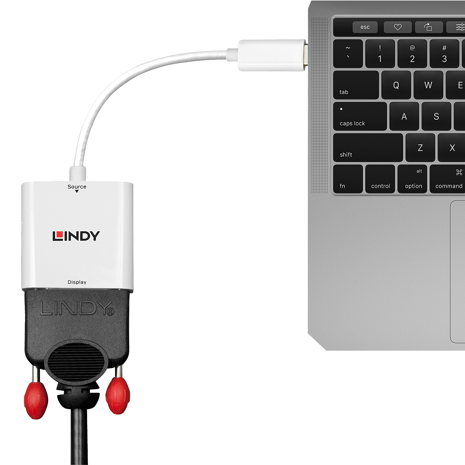 Lindy USB Type C DVI Adapter – image 2