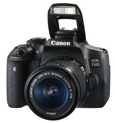 Canon 750D + EF-S 18-55mm IS STM + CS100 – image 6