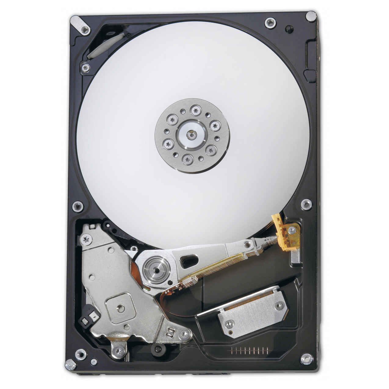 Fujitsu FUJ:CA06600-E305 internal hard drive