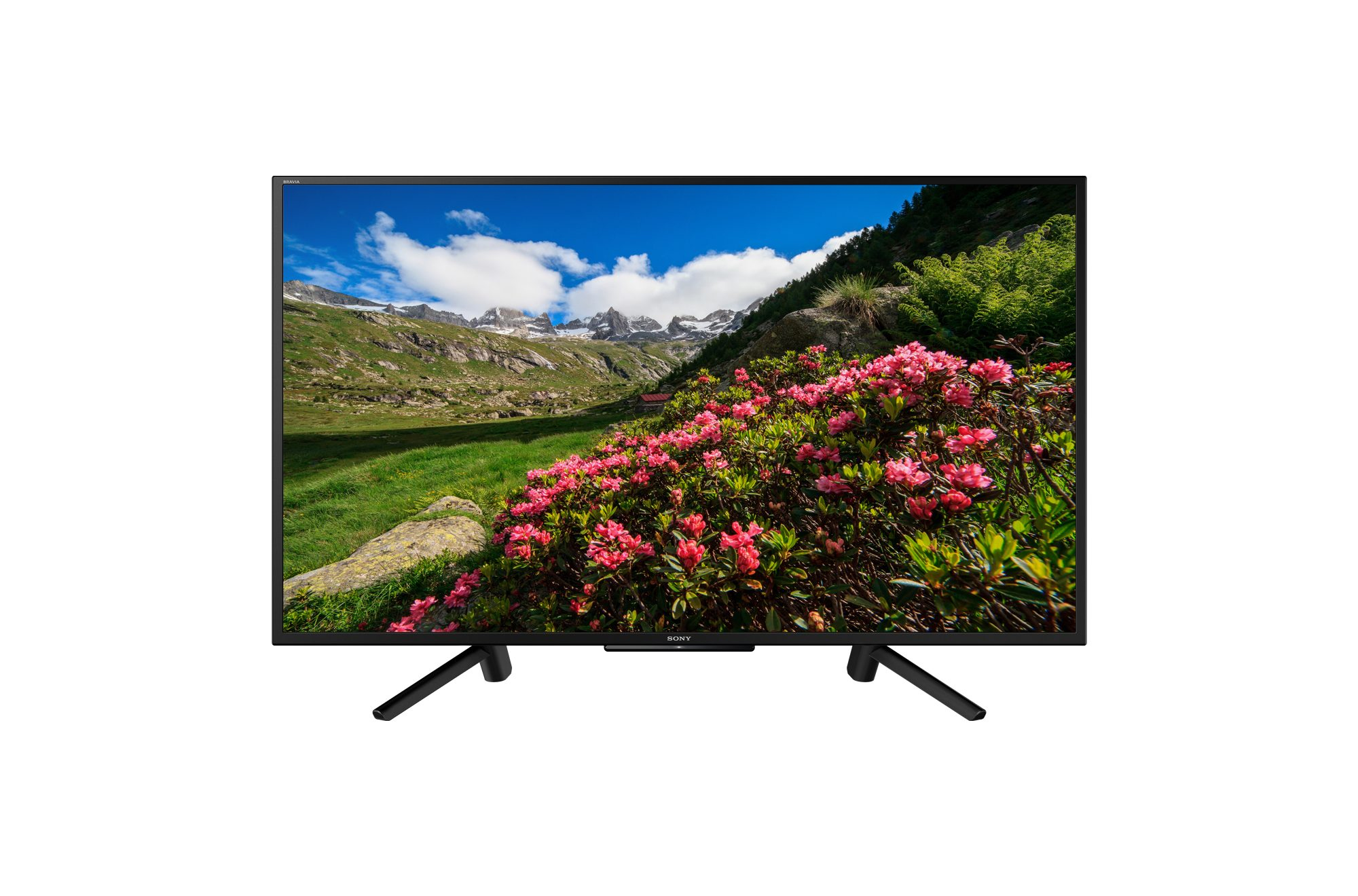 Sony KDL-43RF453 