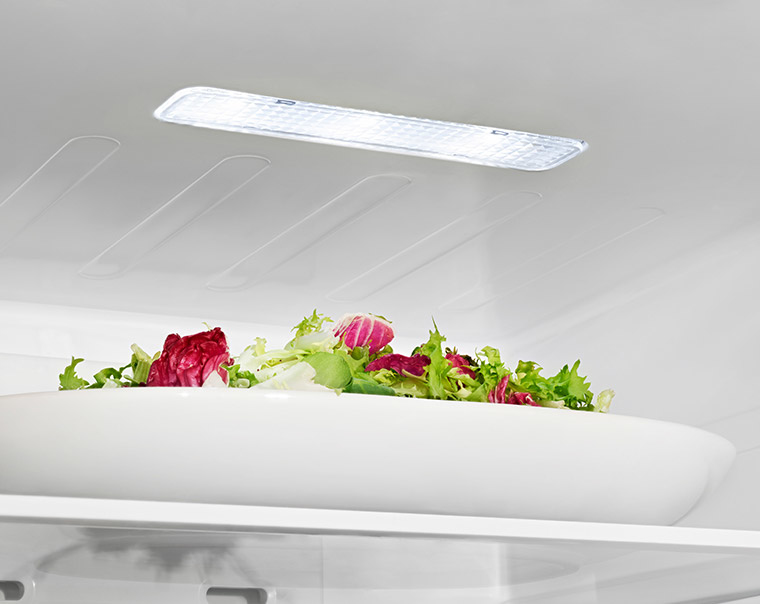 Hisense RL423N4AC11 fridge Freestanding – image 4