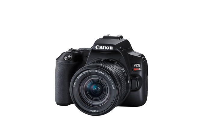 Canon Rebel SL3 + EF-S 18-55mm IS STM – image 3
