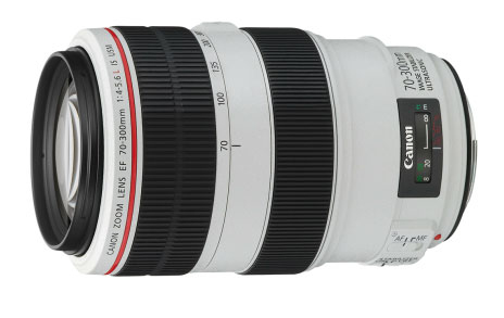 Canon 5D Mark II + EF 70-300mm f/4-5.6L IS USM – image 3