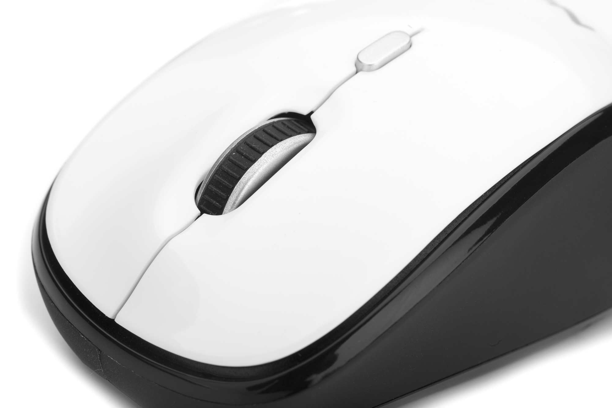 NGS Roly White – image 6