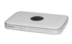 NETGEAR DG834PN + WPN111