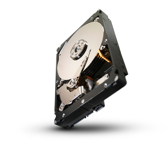 Seagate Constellation ST33000650NS-20PK internal hard drive