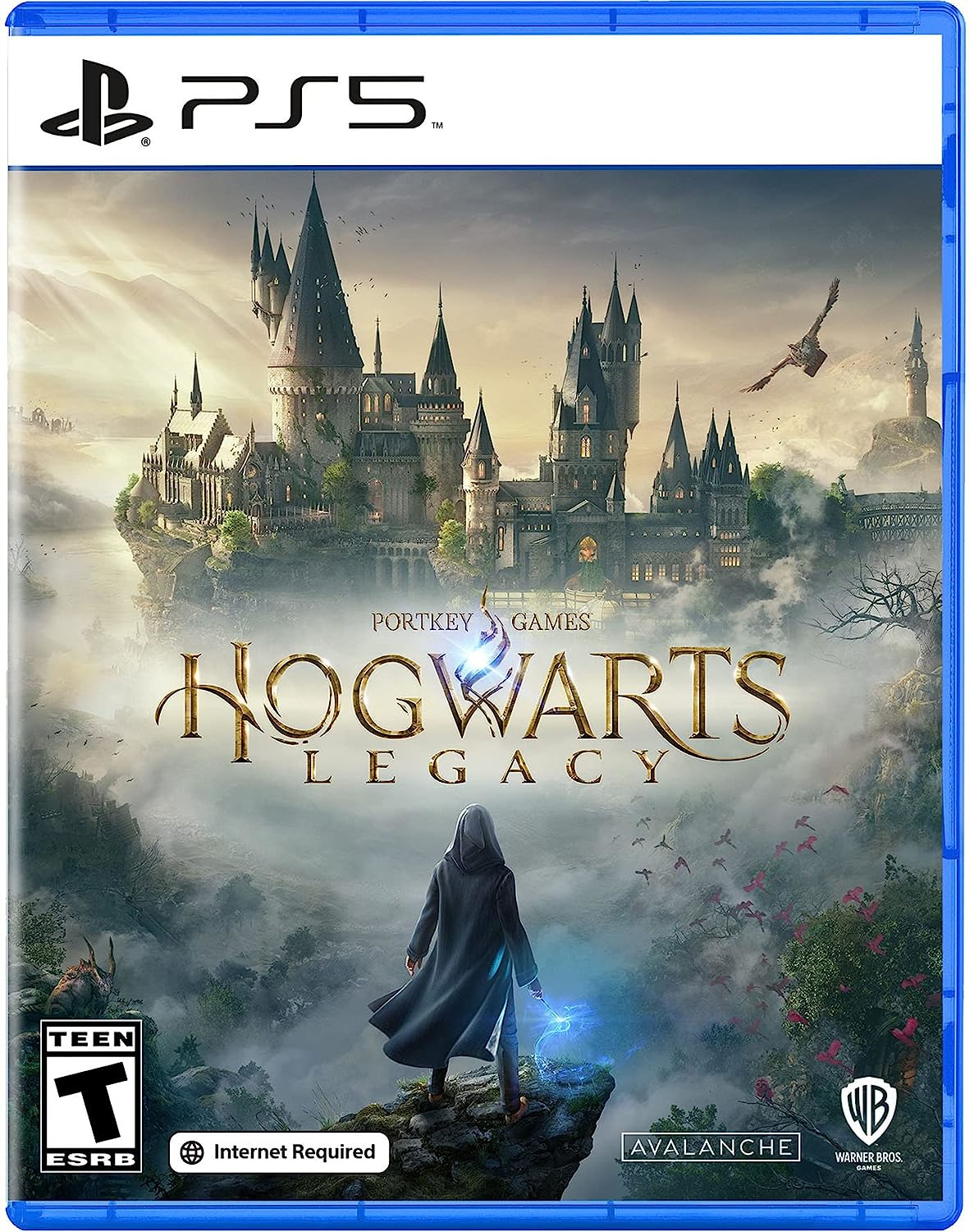 Sony Interactive Entertainment PlayStation 5 + Hogwarts Legacy – image 8