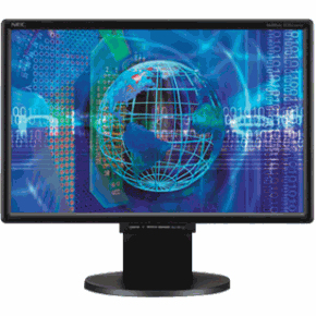 NEC Flat Panel Monitor