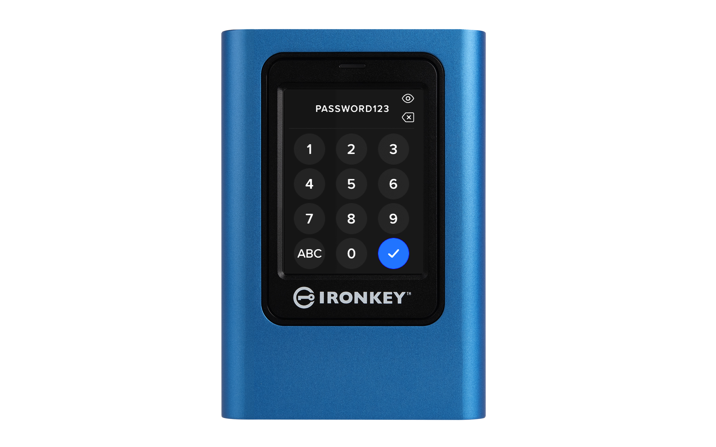 Kingston Technology IronKey 1920Go Vault Privacy 80 XTS-AES 256-bit SSD externe chiffré