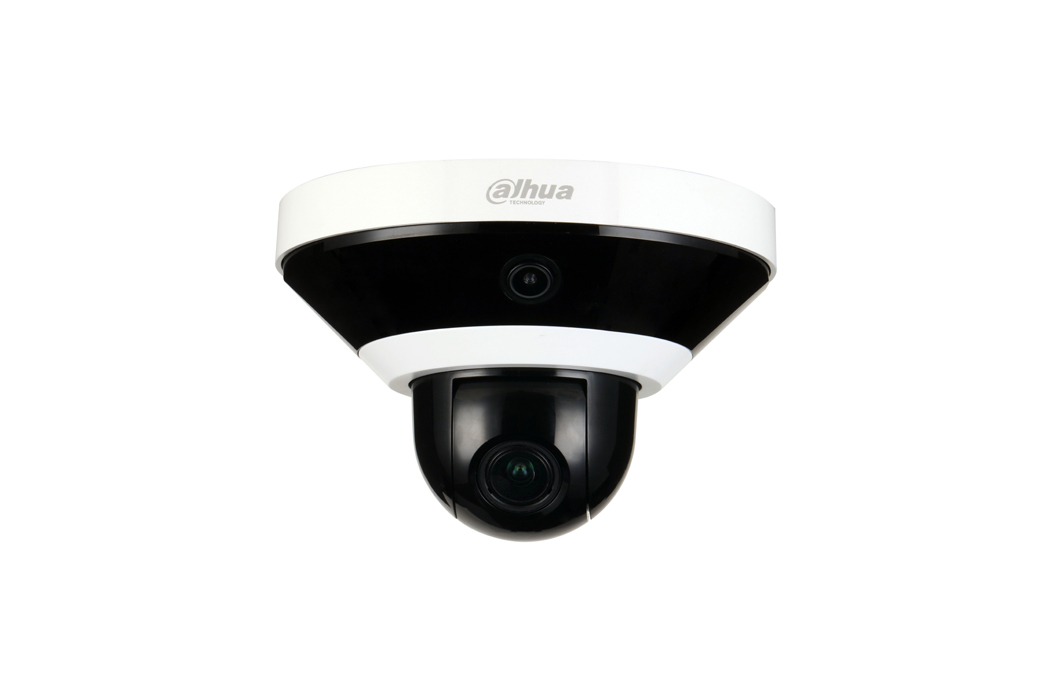Dahua Technology Panoramic DH-PSDW5231S-B120 Dome IP security camera
