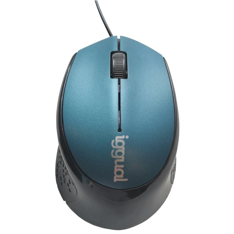 iggual IGG317556 mouse Office Right-hand USB Type-A Optical 800 DPI