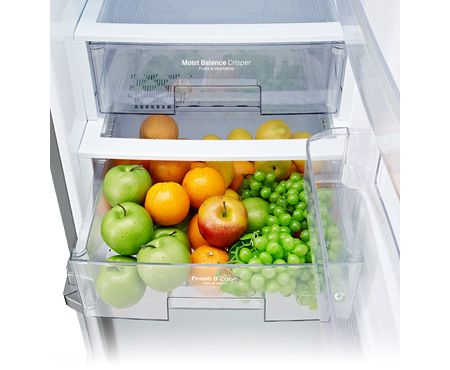 LG GBB539NSCFS fridge-freezer Freestanding – image 4