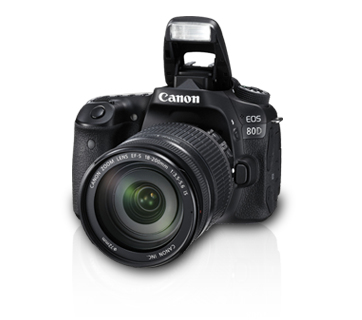 Canon 80D + EF-S 18-200mm F3.5-5.6 IS – image 3