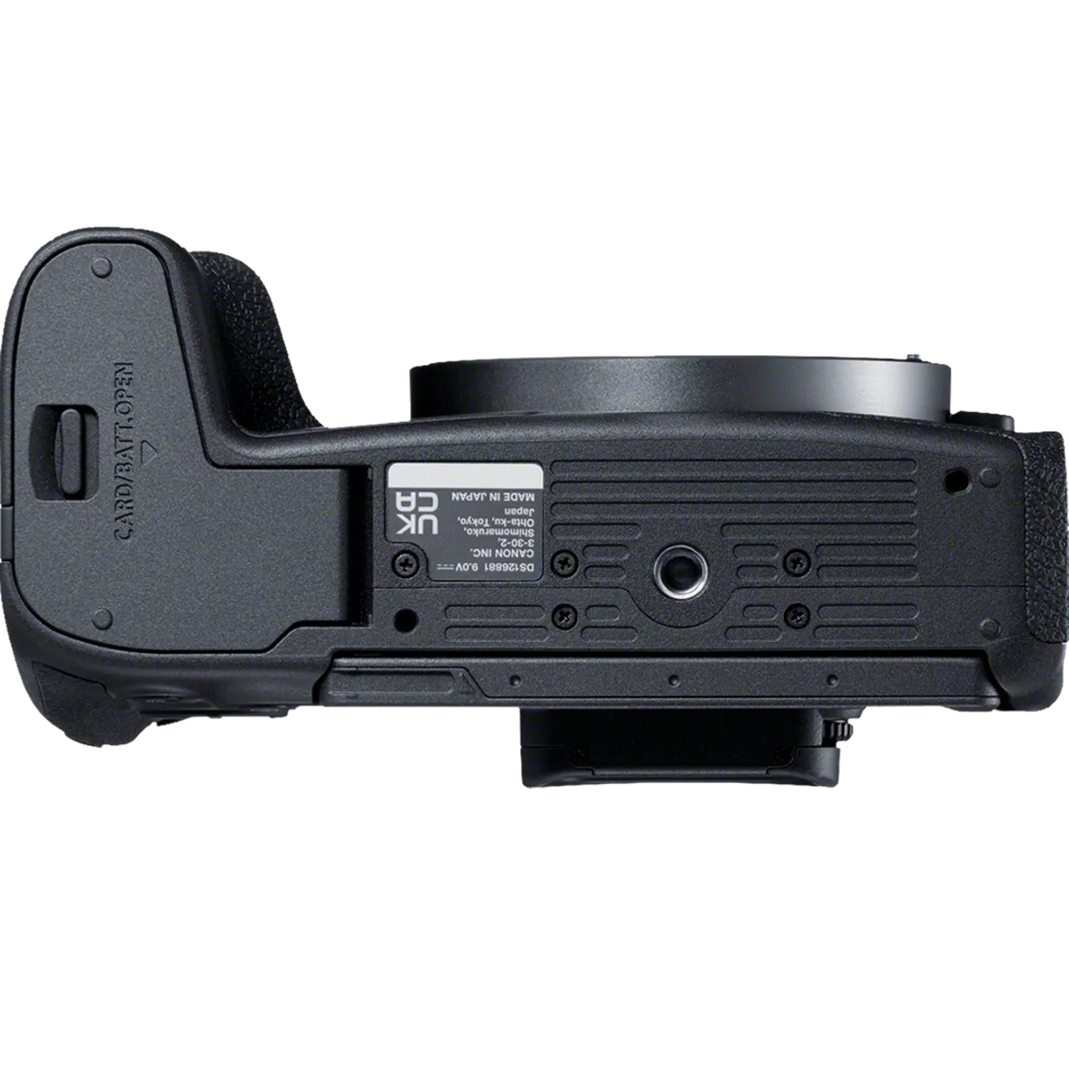 Canon EOS R8 + RF 24-50mm F4.5-6.3 IS STM – image 7