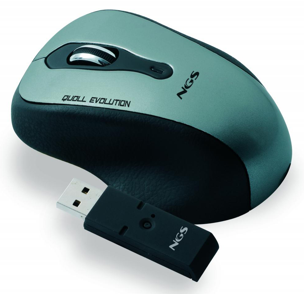 NGS Quoll Evolution