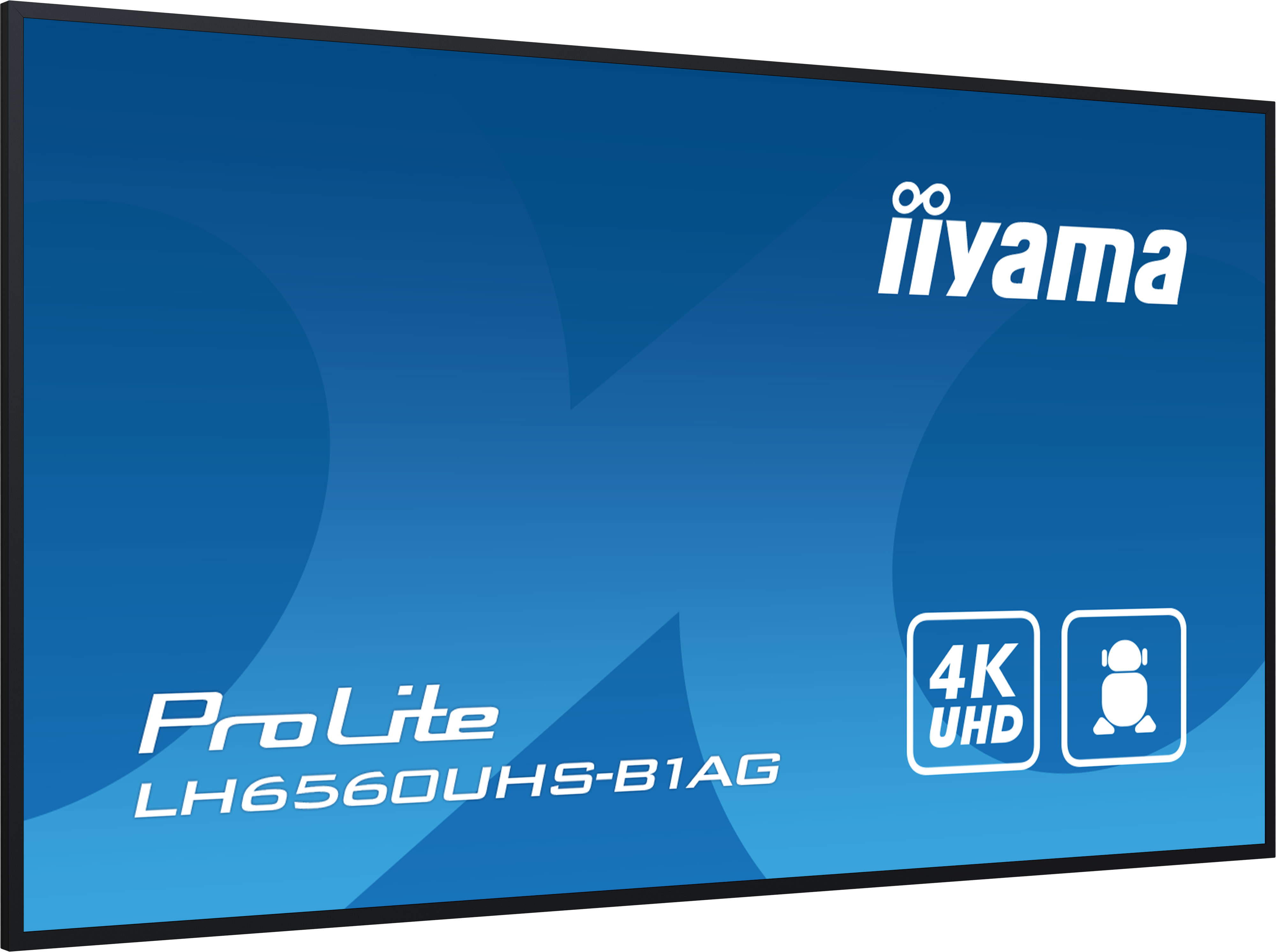 Écran LCD LED 65 IIYAMA ProLite LH6560UHS B1AG 4K UHD Lecteur multimédia SoC Noir — photo 6