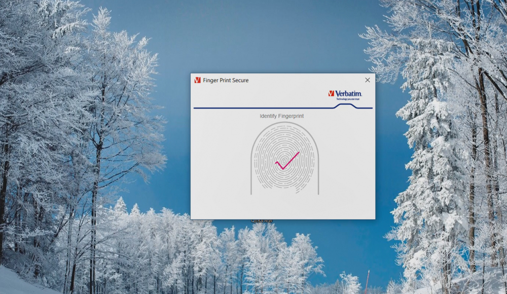 Verbatim Fingerprint Secure – image 8