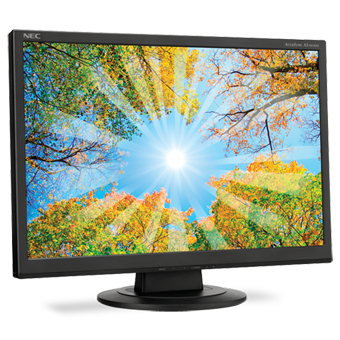 NEC AccuSync AS191WM – image 4