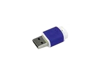 Kingston Technology DataTraveler Mini Migo