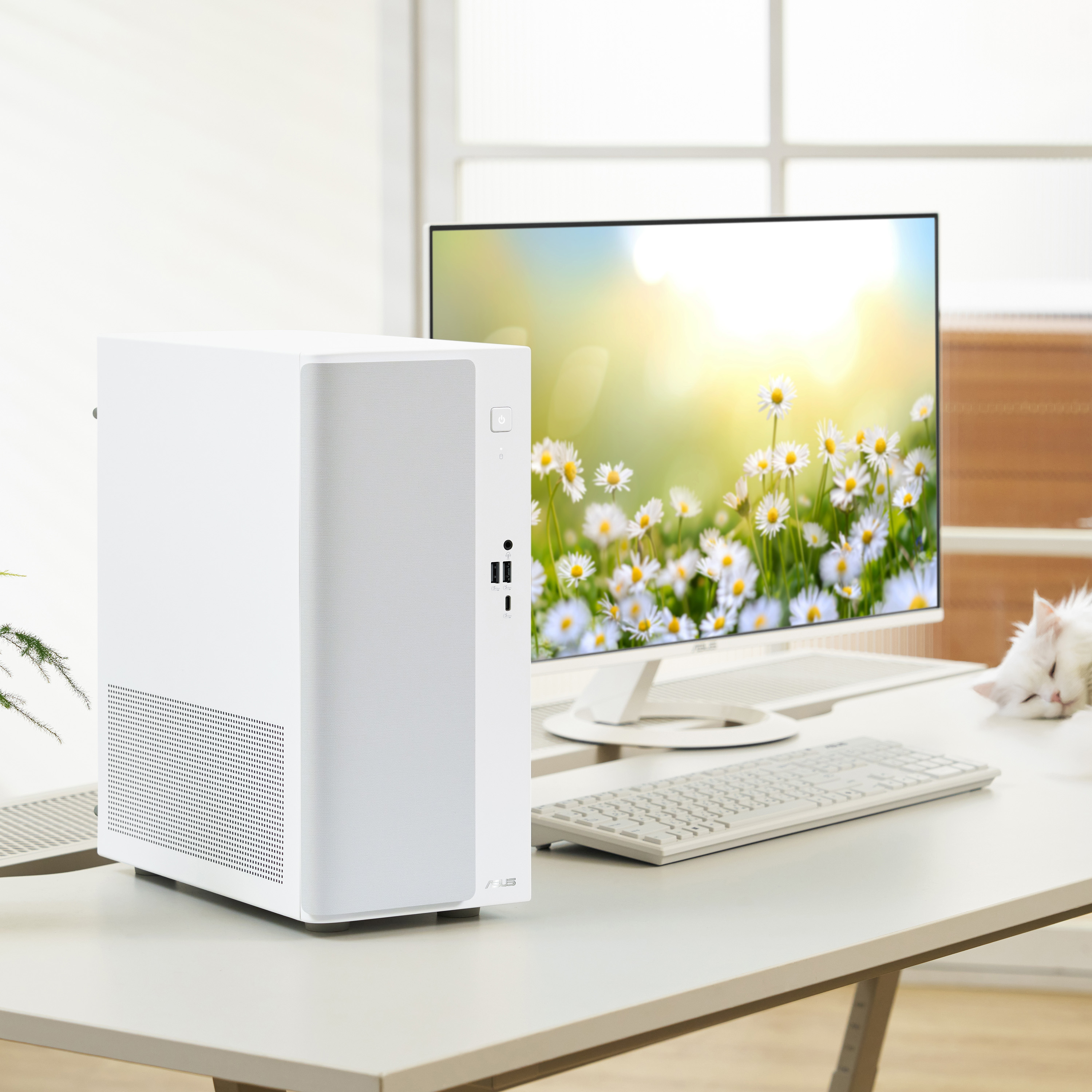 Product Gallery