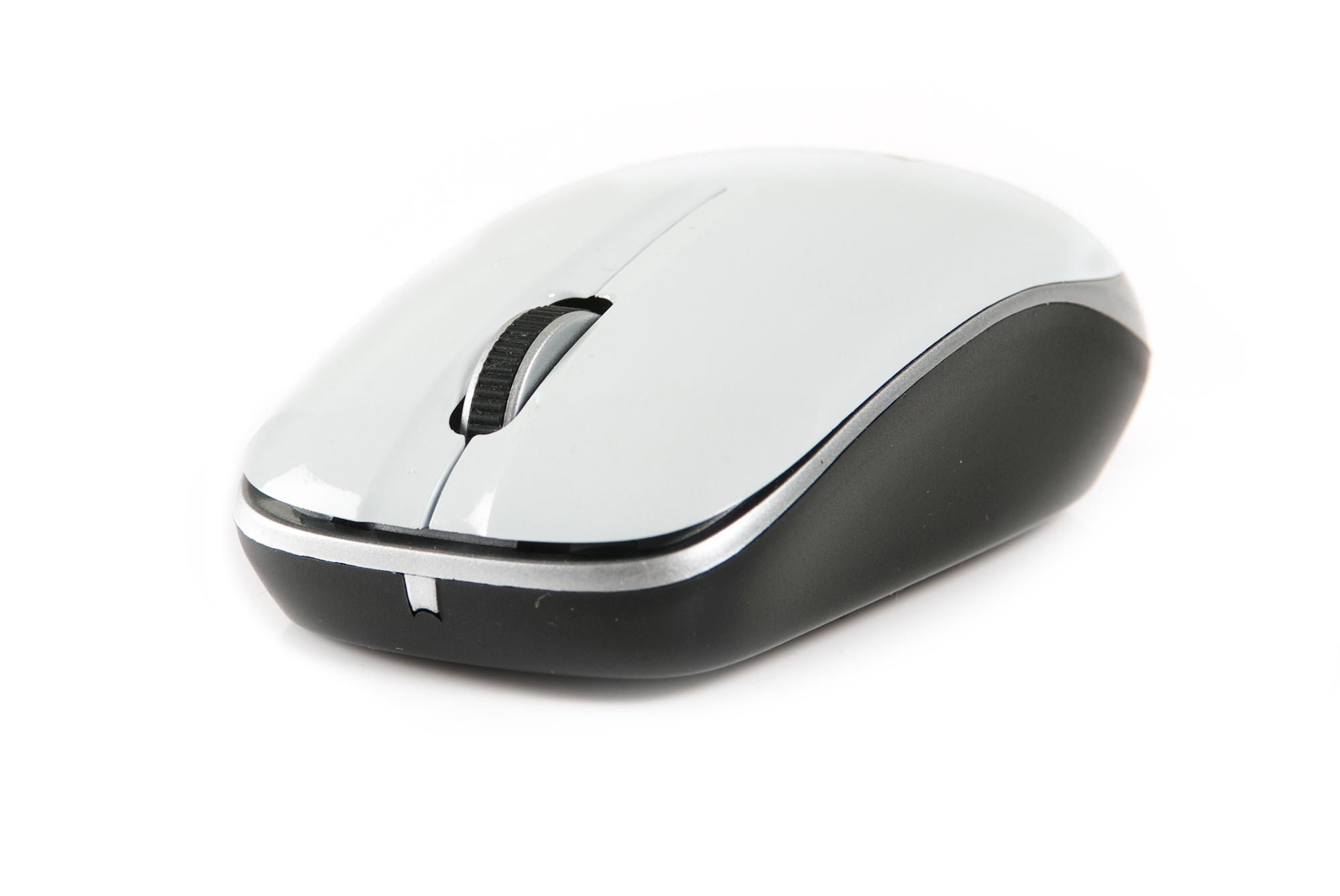 NGS White Spice – image 6