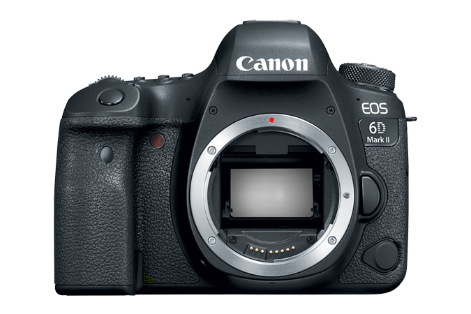 Canon 6D Mark II + EF 24-105mm IS STM – image 2