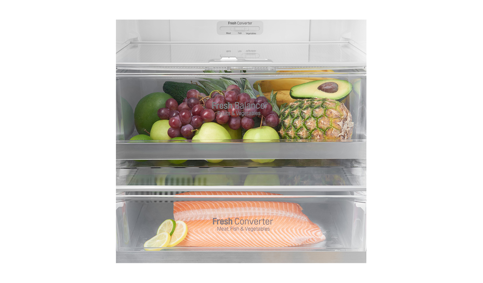 LG GBF59PZFZB fridge-freezer Freestanding – image 9
