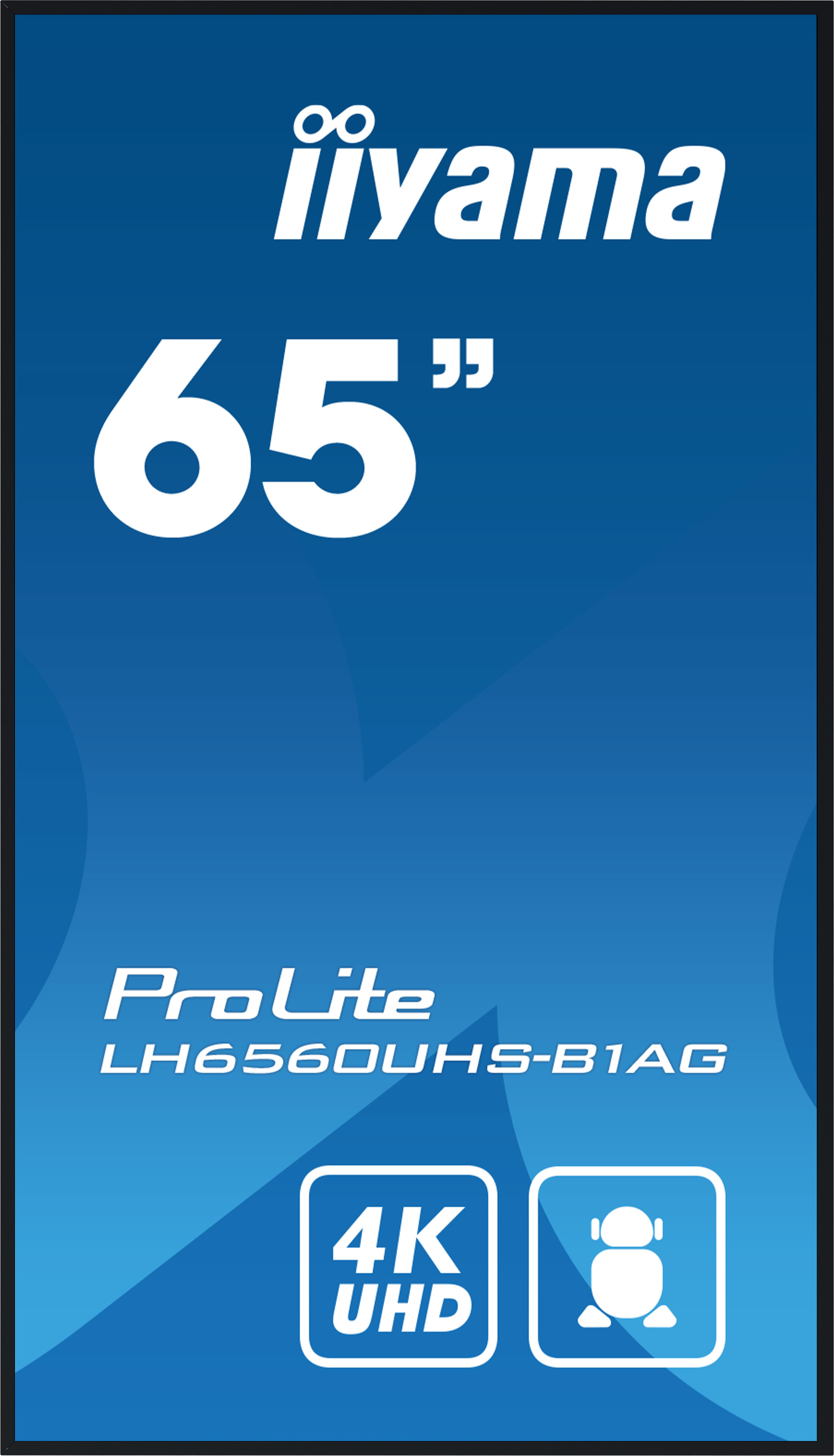 Écran LCD LED 65 IIYAMA ProLite LH6560UHS B1AG 4K UHD Lecteur multimédia SoC Noir — photo 3