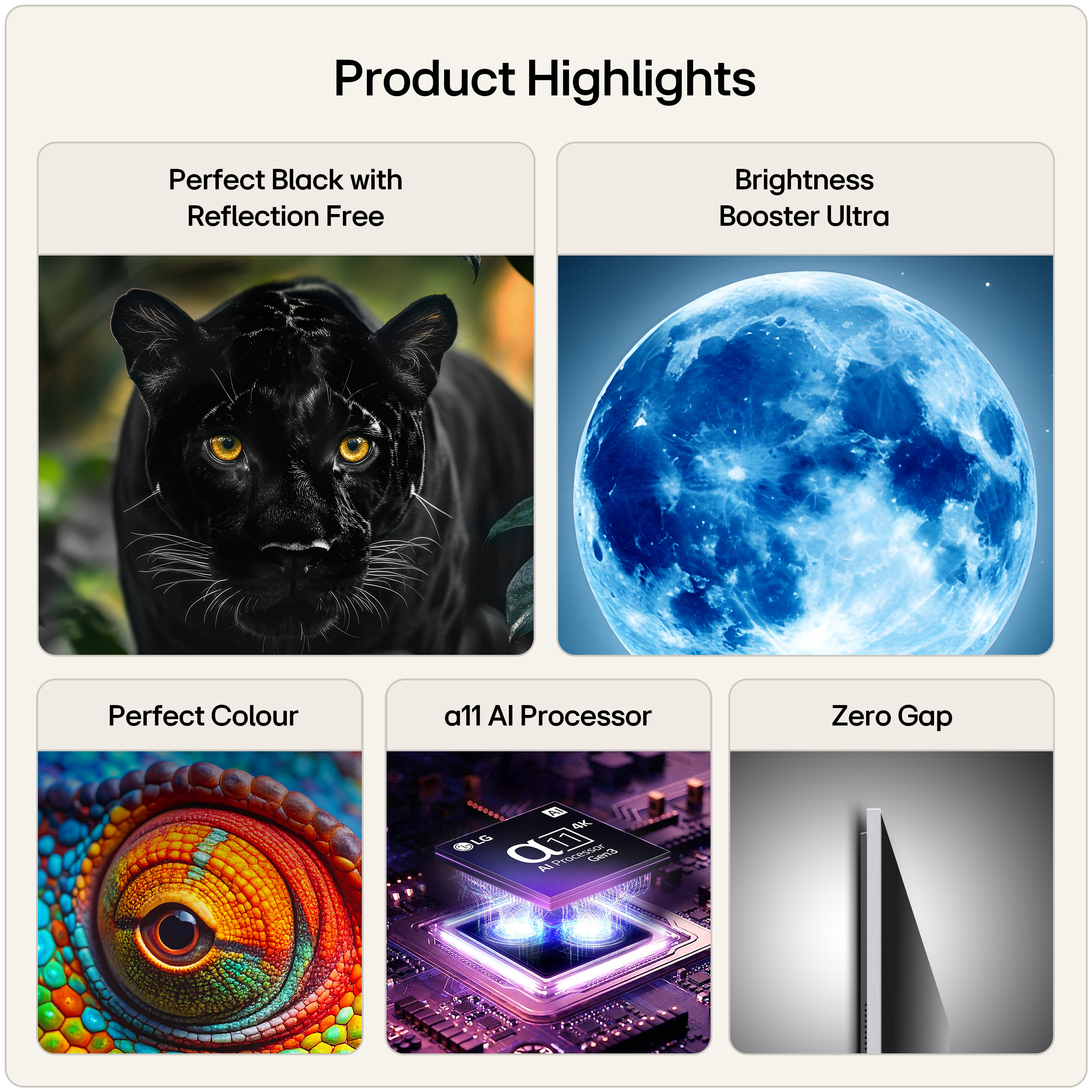 Product Gallery