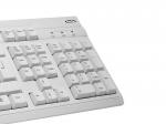 NGS Cute White – image 5